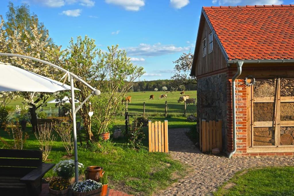 Ferienwohnung Alte Schule Chorin Schorfheide Luaran gambar